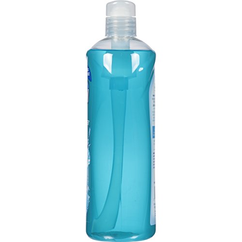 Dial Body Wash, Refresh & Renew Spring Water, 32 fl oz - Image 11