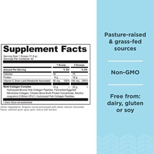 Ancient Nutrition Collagen Powder Protein, Multi Collagen Chocolate Protein Powder, 45 Servings, with Vitamin C, Hydrolyzed Collagen Peptides Supports Skin and Nails, Gut Health, 16.65oz