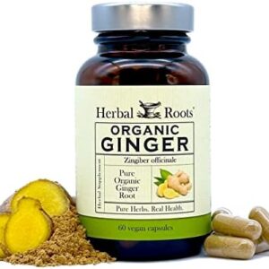 Herbal Roots Ginger Supplement | Organic Ginger Root Capsules | 1,200 mg of Pure Ginger Powder per Serving | 60 Vegan Capsules