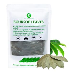 Organic Soursop Leaf Tea - 300 Dried Whole Leaves, 4.52oz, Vitamin & Fiber Support, Morning Herbal Detox Tea for Relaxing & Reduce Inflammation, Refreshing & Pure Taste