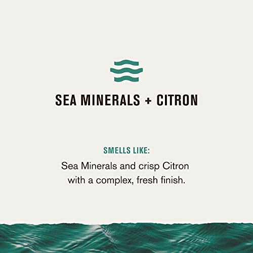 Every Man Jack Men’s Hydrating Body Wash for All Skin Types - Cleanse and Hydrate Skin with Naturally Derived Marine Extracts, Coconut Oil, and a Sea Minerals + Citron Scent - 33.8 fl. oz. - 2 Bottle - Image 4