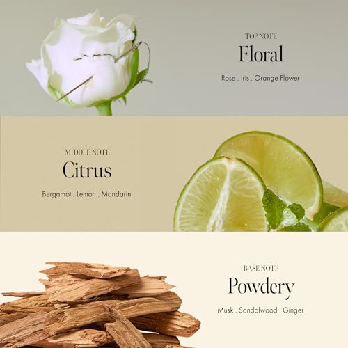 Rosy Night Vegan Hair Perfume Long-Lasting Floral Musky Scented with Damask Rose Extract, Rosehip Oil, Peptide Complex for All Hair Type, Free of Silicone & Parabens (3.38 fl. Oz) - Image 4