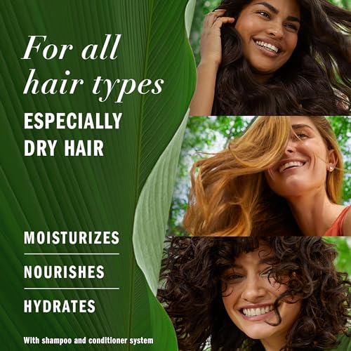 Herbal Essences Sulfate Free Shampoo with Honey for Daily Moisture, Nourishes Dry Hair, Moisturizing Shampoo with Certified Camellia Oil and Aloe Vera, Lightweight For All Hair Types, 33.8oz - Image 3