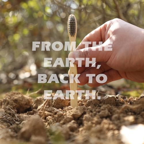 Biodegradable Eco-Friendly Natural Bamboo Charcoal Toothbrushes, FSC Certified and PETA Approved - 12 Count - Image 4