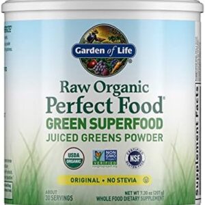Garden of Life Raw Organic Perfect Food Green Superfood Juiced Greens Powder - Original Stevia-Free, 30 Servings, Non-GMO, Gluten Free Whole Food Dietary Supplement, Alkalize, Detoxify, Energize