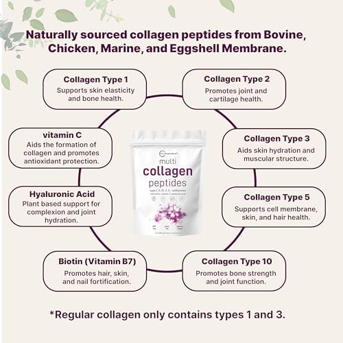 Micro Ingredients Multi Collagen Protein Powder, 2 Pounds – Type I,II,III,V,X with Biotin, Hyaluronic Acid, Vitamin C – Unflavored Collagen Peptides – Keto & Paleo Friendly, Easy Dissolve, Non-GMO - Image 3