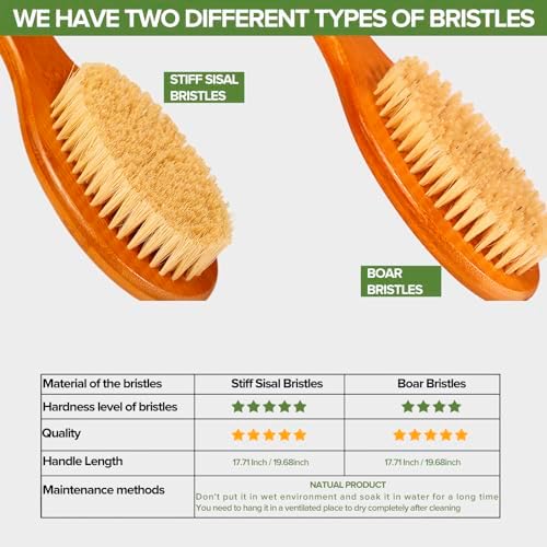 ICANdOIT-19.68Inch Natural Boar Bristles Anti-Slip Extra Long Handle Bath Brush,Bent Handle Shower Scrubber for Exfoliating,Shower Back Brush,Exfoliation Set with Pumice Stone (1 Pack) - Image 5