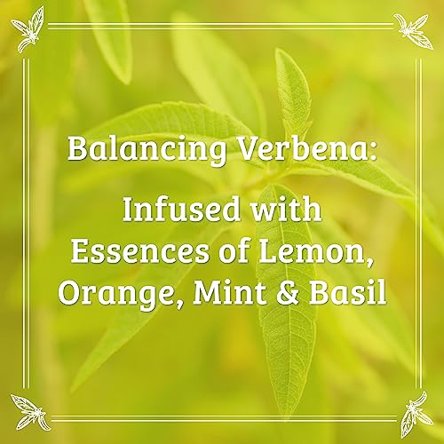 Pharmacopia Verbena Body Lotion - Hydrating Natural Moisturizer with Aromatherapy Benefits - Cruelty-Free Vegan Skin Care - Shea Butter, Aloe Vera, and Jojoba Oil - Lotion for Dry Skin, 16 oz - Image 4