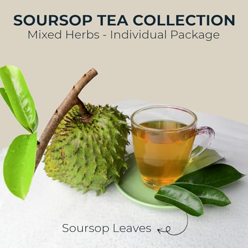 Organic Soursop Leaf Tea - 300 Dried Whole Leaves, 4.52oz, Vitamin & Fiber Support, Morning Herbal Detox Tea for Relaxing & Reduce Inflammation, Refreshing & Pure Taste - Image 2