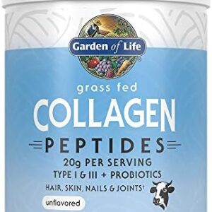 Garden of Life Grass Fed Collagen Peptides Powder – Unflavored Collagen Powder for Women Men Hair Skin Nails Joints, Hydrolyzed Collagen Protein Supplements, Post Workout, Paleo & Keto, 28 Servings