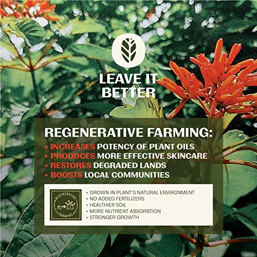 Thrive Reef Safe Sunscreen SPF50 - Hawaii 104 Reef Act Compliant - Mineral Sunscreen Non-Nano Zinc Oxide - Vegan, (5.8 Oz (Pack of 1)) - Image 6