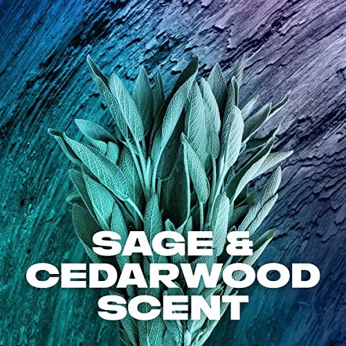 AXE Body Wash Apollo 4 Count for Long Lasting Freshness Sage & Cedarwood Men's Body Wash with Odor-Busting Prebiotics 16 oz - Image 8
