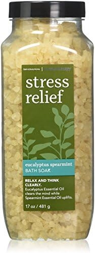 Bath and Body Works Eucalyptus Spearmint Bath Soak Aromatherapy