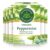 Traditional Medicinals Tea, Organic Peppermint, Soothes Your Belly, Refreshing & Minty, 96 Tea Bags (6 Pack)